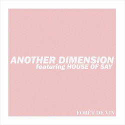 Another Dimension