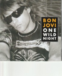 One Wild Night
