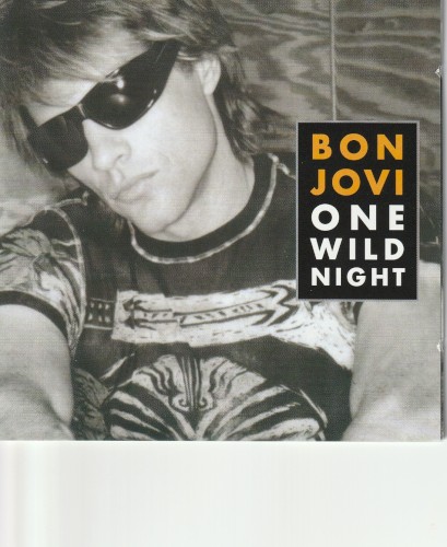One Wild Night