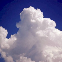 I'll fly