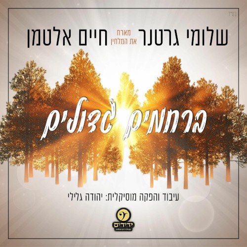 Berachamim Gedoilim