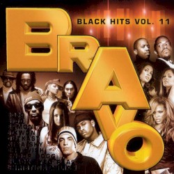 Bravo Black Hits, Vol. 11