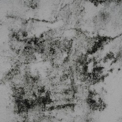 Desert Static Generator
