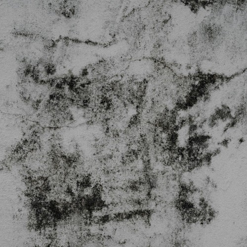 Desert Static Generator