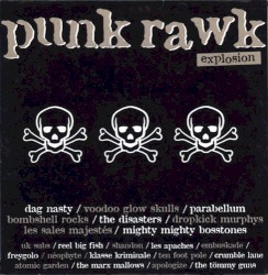 Punk Rawk Explosion, Volume 9