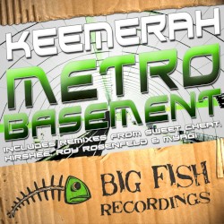 Metrobasement Remixes