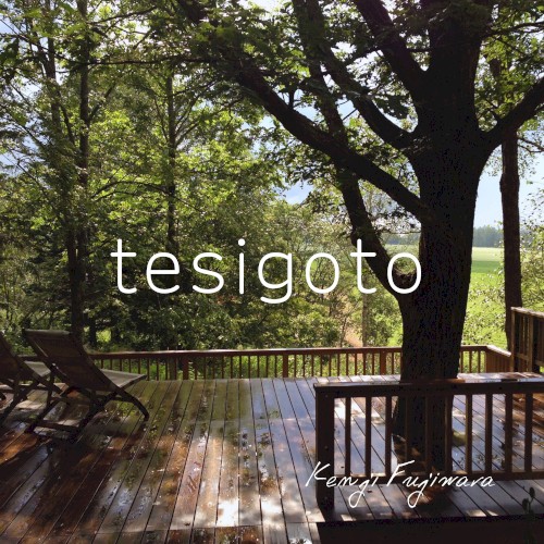 tesigoto