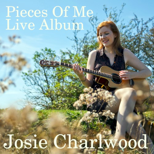 Pieces of Me: Live Album