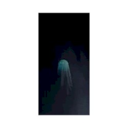 Ghost in My Mind