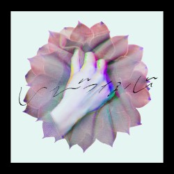 いびつな心