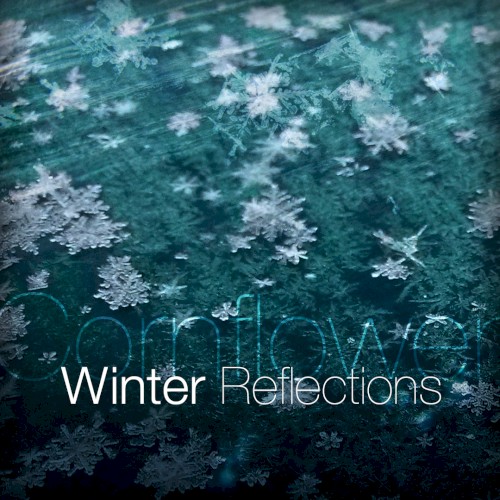 Winter Reflections