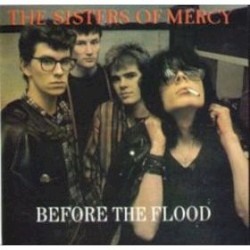 Before the Flood