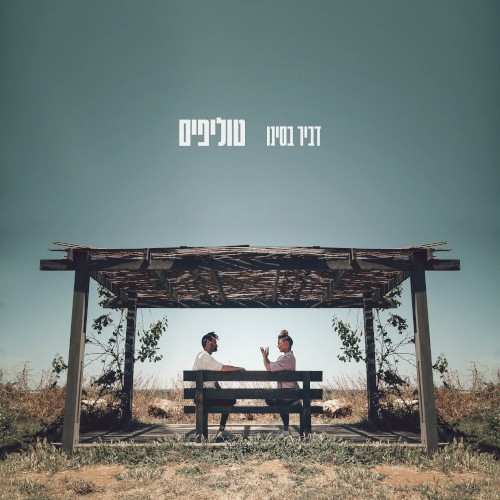 טוליפים
