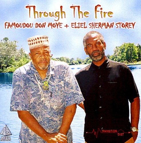 Through the Fire