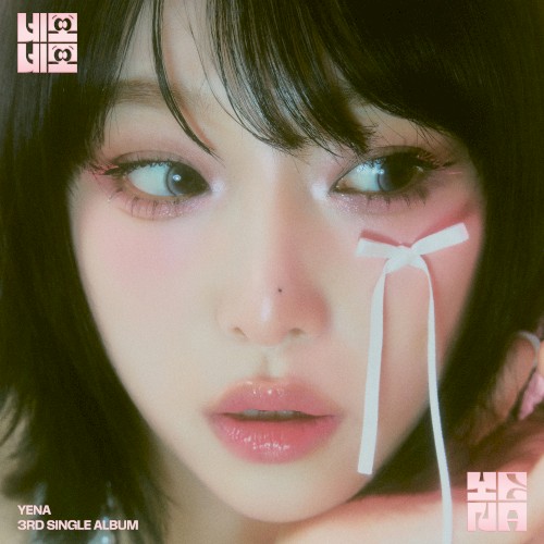 네모네모