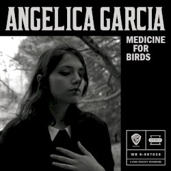 Medicine for Birds