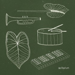 Anthurium