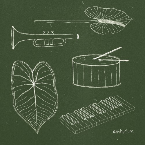 Anthurium