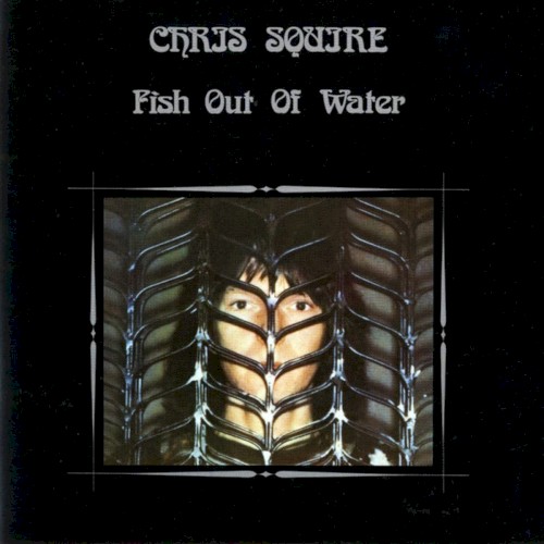 Fish Out of Water