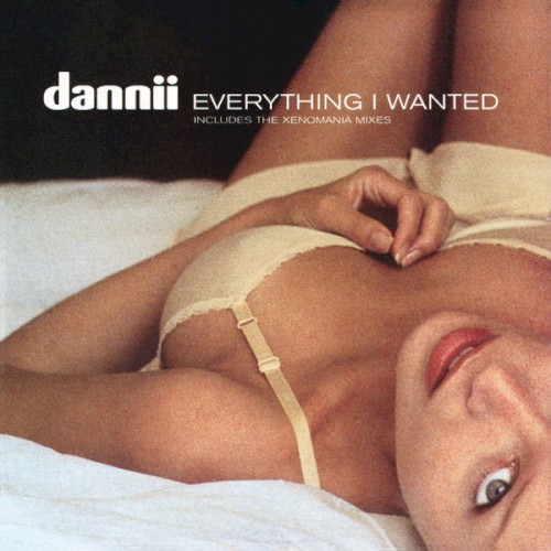 Everything I Wanted