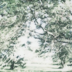 landscape 05