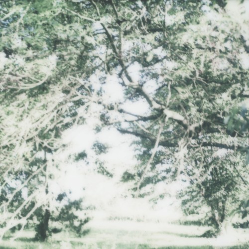 landscape 05