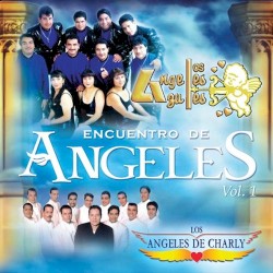 Encuentro de Ángeles, vol. 1