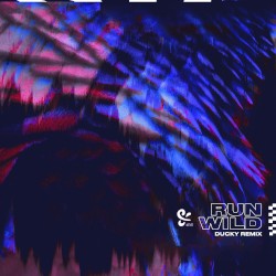 Run Wild (Ducky remix)