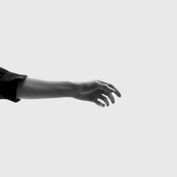 Limbs