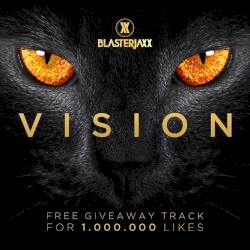 Vision