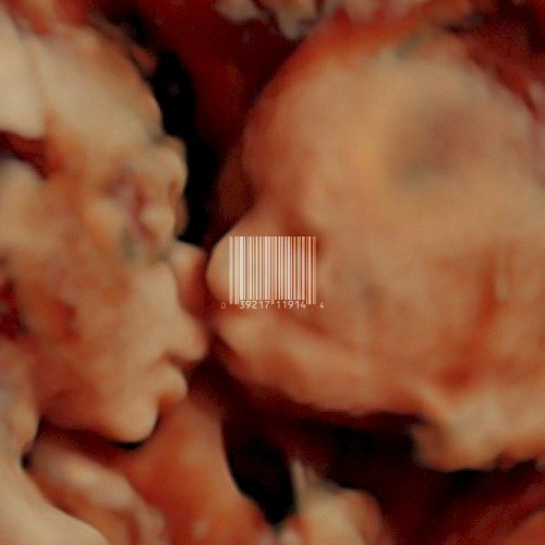 The Parasitic Relationship Between Man and Soundcloud