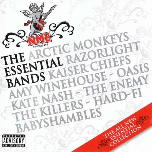 NME Presents: The Essential Bands
