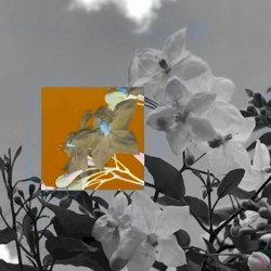When I See You