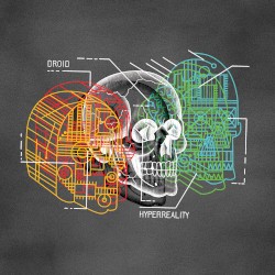 Hyperreality