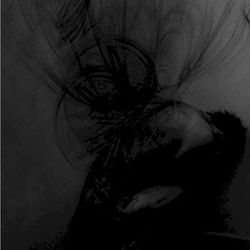 Fevered Screams of Delirium