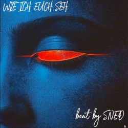 WIE ICH EUCH SEH
