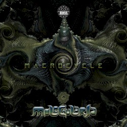 Macrocycle
