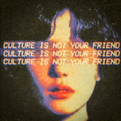 Culture Is Not Your Friend