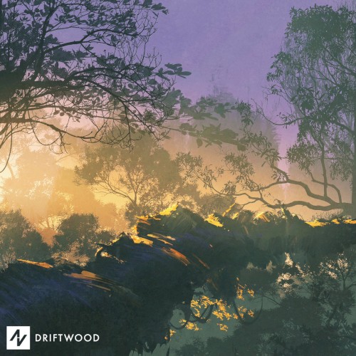 Driftwood