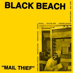 Mail Thief