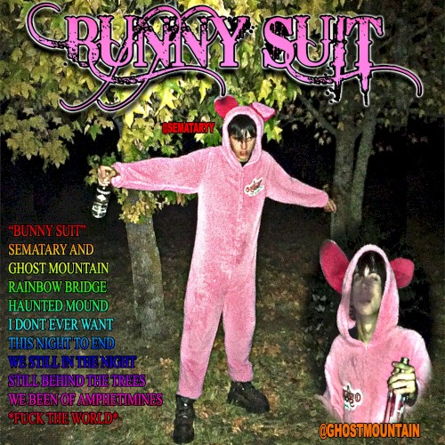 Bunny Suit