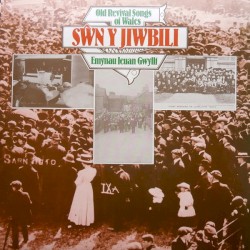 Swn y Jiwbili