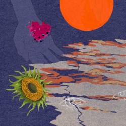 Sunset Love
