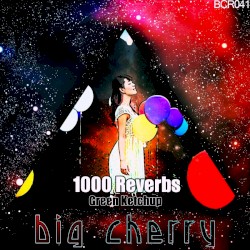 1000 Reverbs