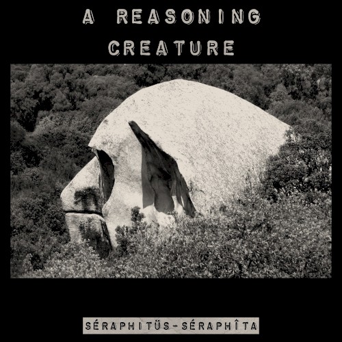 A Reasoning Creature