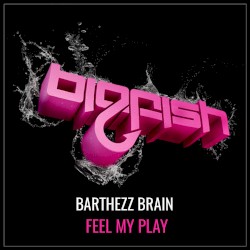 Feel My Play