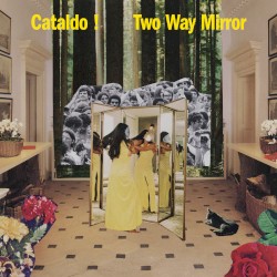 Two Way Mirror