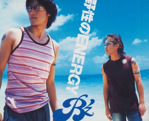 野性のENERGY