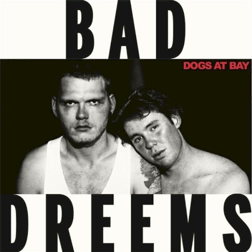 Dogs at Bay