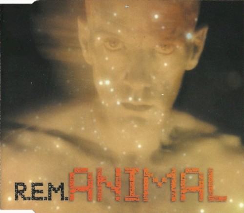 Animal